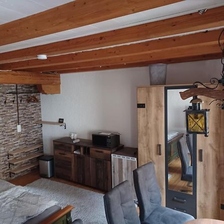 See- Und Altstadthaeusle - Alles Direkt Vor Der Haustuer - Bodenseeufer Natur Altstadt Bahnhof Bora-Sauna - Klein Und Super Zentral Zum See Oepnv Stadt Natur Etc - Appartement Historica Radolfzell am Bodensee Dış mekan fotoğraf