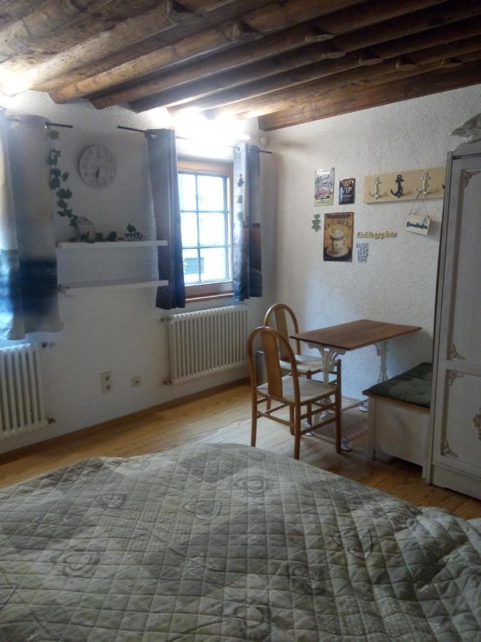See- Und Altstadthaeusle - Alles Direkt Vor Der Haustuer - Bodenseeufer Natur Altstadt Bahnhof Bora-Sauna - Klein Und Super Zentral Zum See Oepnv Stadt Natur Etc - Appartement Historica Radolfzell am Bodensee Dış mekan fotoğraf