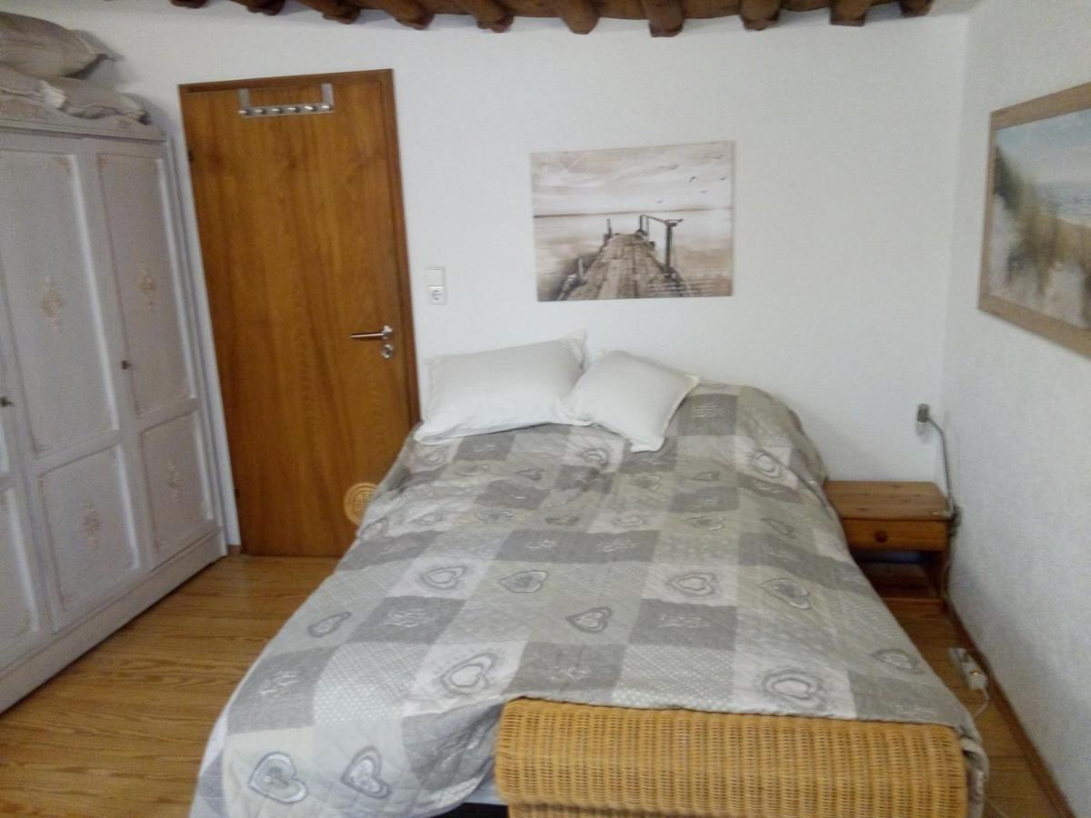 See- Und Altstadthaeusle - Alles Direkt Vor Der Haustuer - Bodenseeufer Natur Altstadt Bahnhof Bora-Sauna - Klein Und Super Zentral Zum See Oepnv Stadt Natur Etc - Appartement Historica Radolfzell am Bodensee Dış mekan fotoğraf